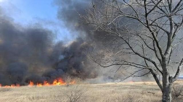 “부모님 못 모셔 죄책감”…갈대밭에 불 지른 50대 구속영장