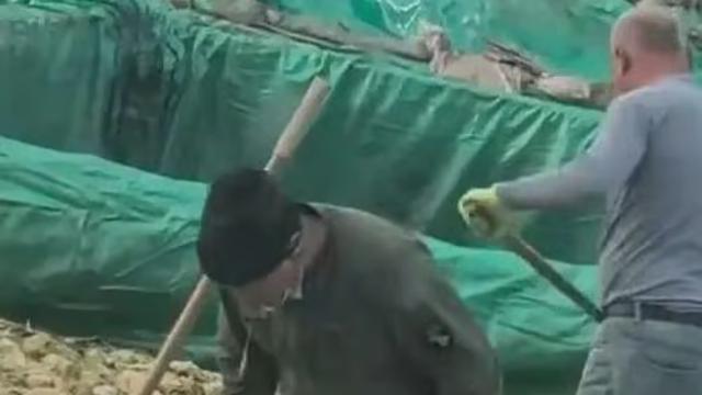 “담배 피우고 가래침까지”…중국인, 절임배추 공장 위생 논란, 2억 벌금 처분