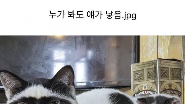 누가 봐도 얘가 낳음 .jpg