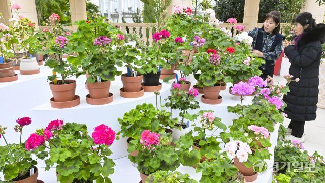 수원 일월수목원, 입춘맞아 '지금, 우리는 봄' 전시 [포토뉴스]