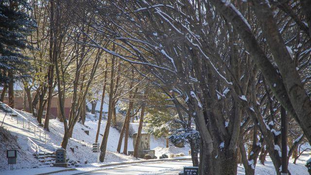사찰의 고요함 vs 거대 빙벽의 장관... 취향대로 떠나는 경기도 '눈꽃 여행' 지도 [경기도 가볼만한 곳]