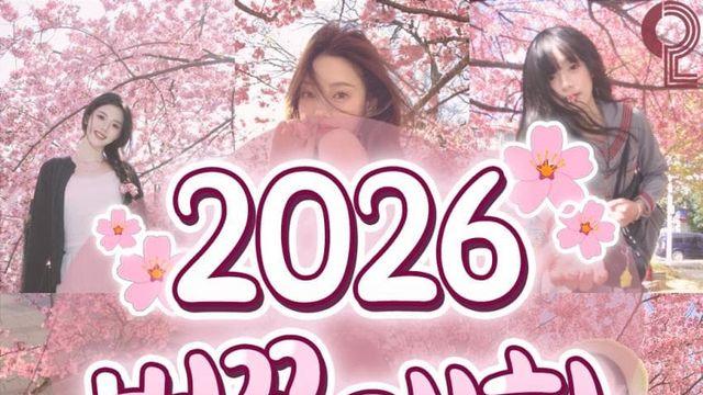 2026 전국 벚꽃 개화시기 벌써 떴음!!
