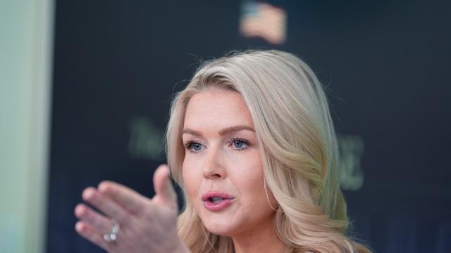 美중간선거 투표소에 ICE 배치?…백악관 대변인 