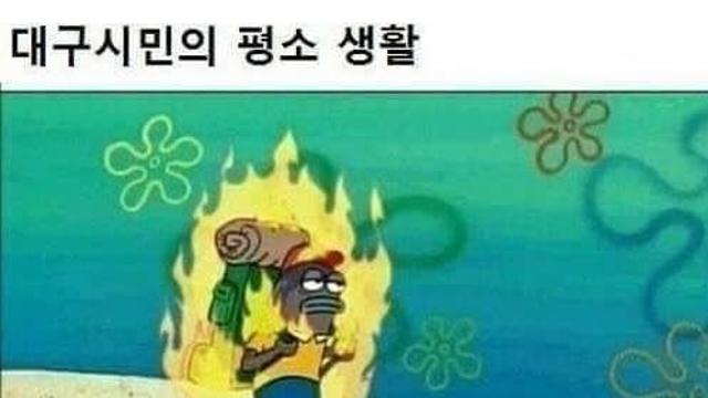 미국판 대프리카급 더위의 도시.jpg