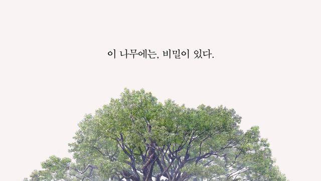 히가시노 게이고 원작, 최초 애니 영화…'녹나무의 파수꾼', 3월 개봉 확정