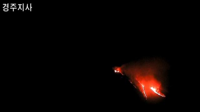 경주 양남·문무대왕면 산불…월성원전 인근 '대응 1단계'(종합)