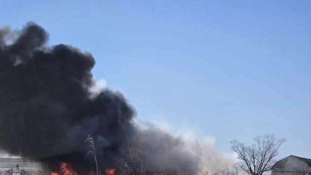 고양 비닐하우스 불…5개 동 태워
