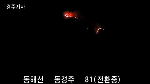 [속보] 경주 문무대왕면 입천리 야산 산불… 