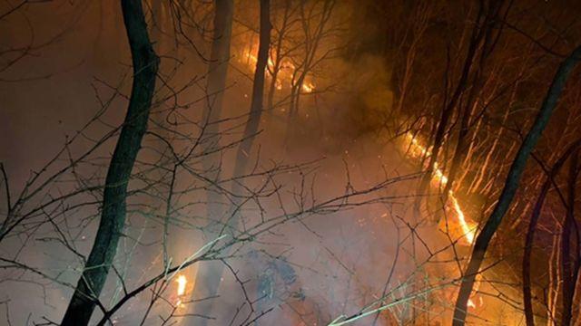 경주 문무대왕면 산불대응 1단계 발령… 헬기 31대 투입