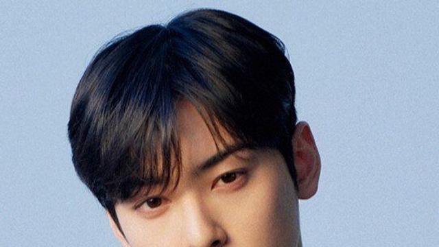 전직 국세청 조사관 “차은우 200억 추징, ‘1인 법인’ 실질 인정받기 어려운 구조”