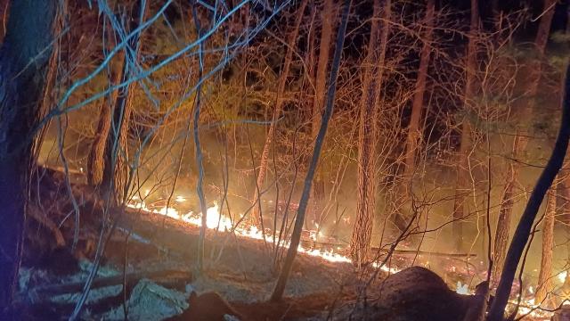 경남 함양 야산서 산불…2시간 만에 주불 진화