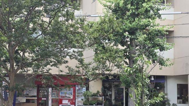 작년 여름 교토 성지순례 4일차 -2- (스압)