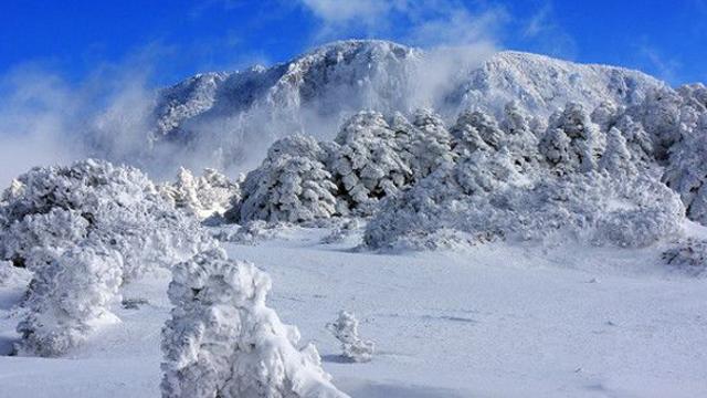 [제주날씨] '최고 20cm 폭설' 제주공항 결항 속출...오후까지 많은 눈