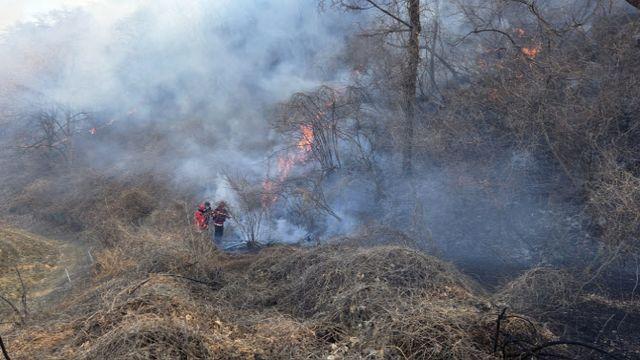 경주 문무대왕면 산불, 20시간 만에 주불 진화 완료