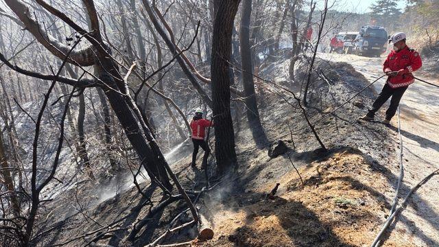 경주 산불, 강풍에 진화율 23% 급락…소방청, 국가동원령 발령