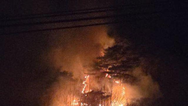 주말 포항.경주서 잇단 산불… 산림 10여ha 태워