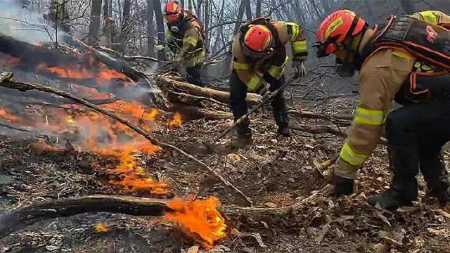 강풍 타고 번진 경주 산불…20시간 만에 주불 진화
