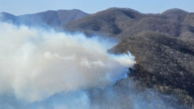 경주 문무대왕면 산불 이틀째 확산에 '국가소방동원령1호' 발령(종합)