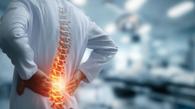 4050 ‘척추’·6070 '관절' 건강 지키는 법 [한양경제]