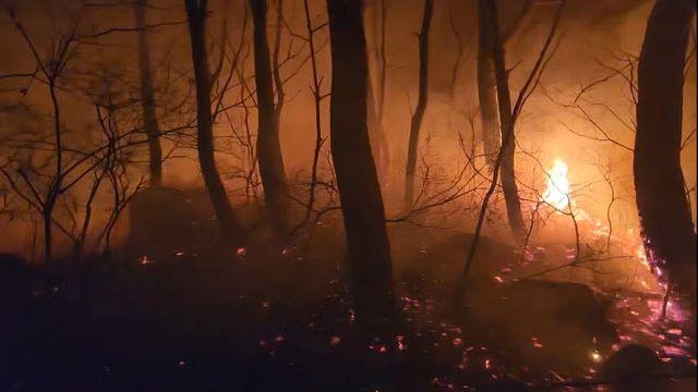 부산 금정봉 산불 9시간 만에 초진…