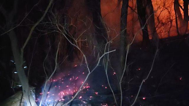 부산 쇠미산 금정봉 밤샘 사투…대응 2단계 발령 끝에 9시간 만에 초진