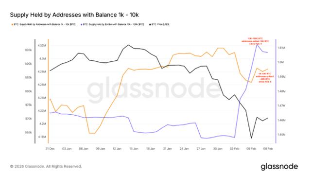 BTC 고래들 4만개 저가 매수