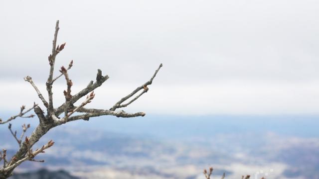 [이슈메이커] 움직이기 전, 눈에 띄지 않는 준비