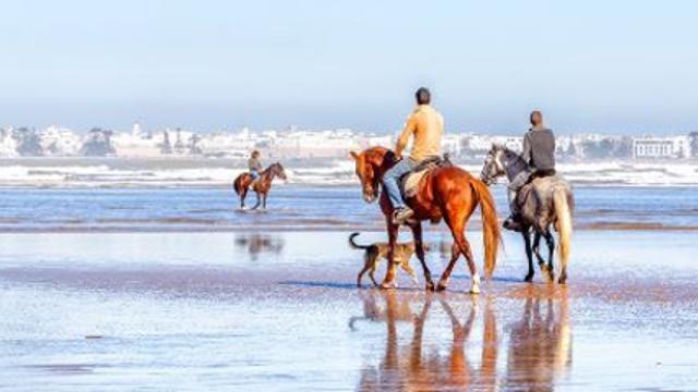 역대 최고 관광 성과 올린 ‘모로코’, 대대적인 관광 프로모션 예고