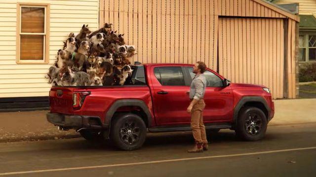 강아지로 웃기려다 역풍…토요타 광고에 호주 당국 뿔난 이유?