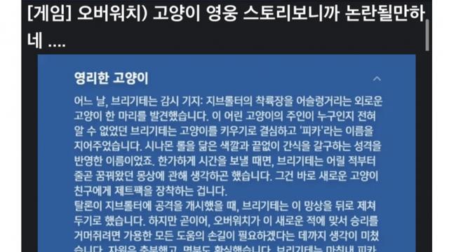 옵치 신캐 좃냥이 근황...ruliweb