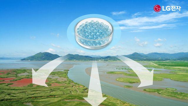 LG전자, 순천시·서울대와 손잡고 블루카본 확산