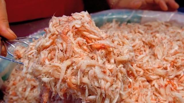 관광객 선호 반영…홍성시티투어에 광천전통시장 등 포함