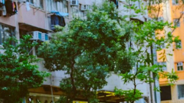 8만 명이 답했다…우울증 줄이는 가장 확실한 방법은?