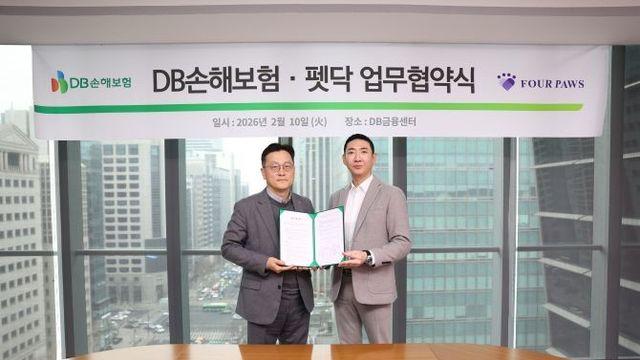 [보험 TMI] DB·NH농협·AXA손해보험