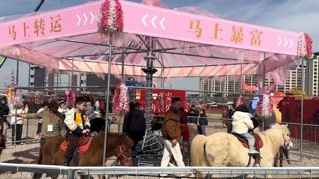 회전목마에 진짜 말 동원…동물학대 논란