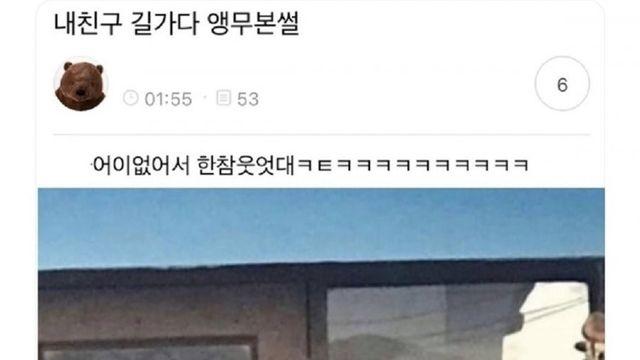 내친구 길가다 앵무새본썰