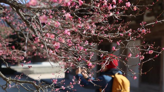 [날씨] 한낮 16도 '포근'…큰 일교차 조심