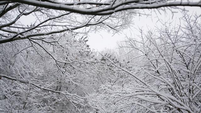 [이슈메이커] 깊어 가는 겨울, 흔들리지 않기 위한 시간