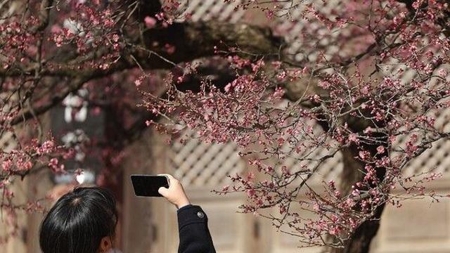 [날씨] 설 연휴 첫날 포근하지만 곳곳 미세먼지 ‘나쁨’