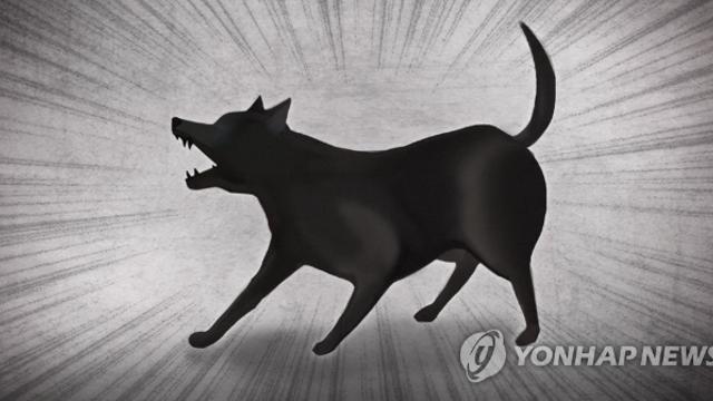 공공기관서 입양한 반려견 도살한 70대, 경찰 조사