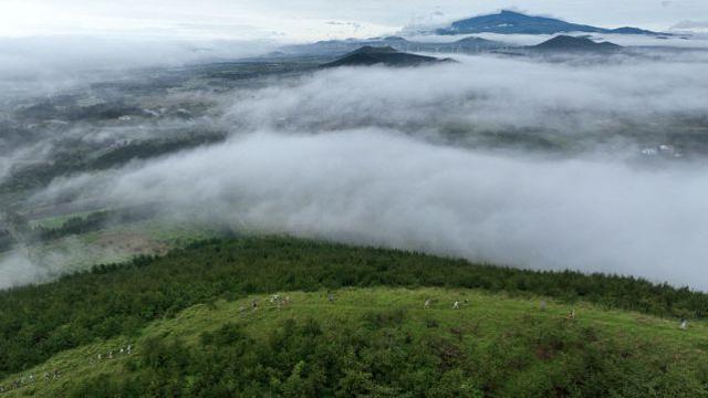 제주관광공사·제주도·살로몬, 러닝위크 연계 오름트레일런 개최