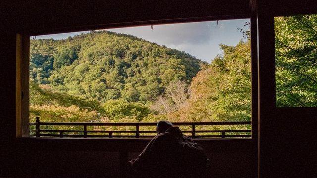 어디서 백만번은 본 사진들