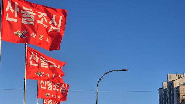 올 산불 피해면적 작년의 16배…