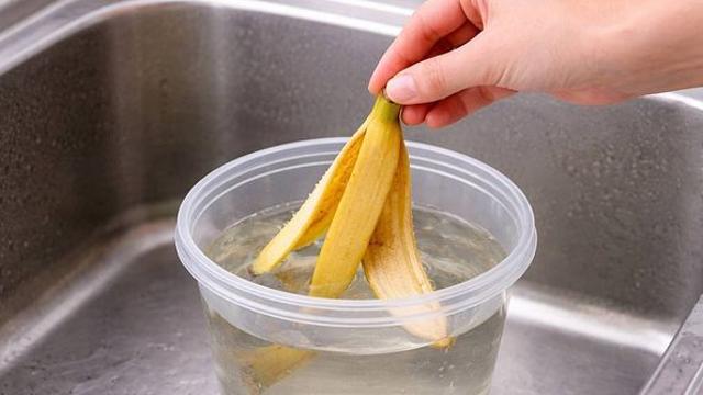 바나나 껍질, 당장 ‘물’에 담가보세요…다들 왜 이제 알았지 합니다