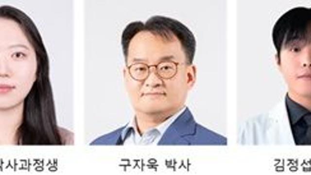 무기력증 원인, 뇌 신경 회로와 분자 기전 규명