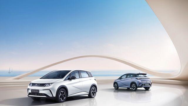 일본보다 610만 원 더 싸다? BYD 돌핀, 한국 대중 전기차 시장 작정하고 노렸다?