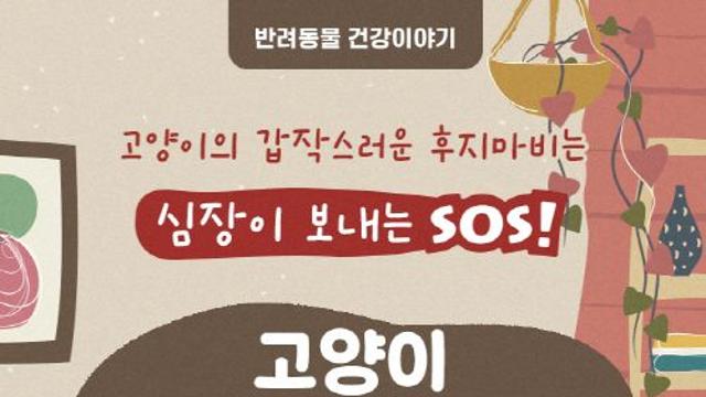 [반려동물 건강이야기] 고양이의 갑작스러운 후지마비는 심장이 보내는 SOS!-고양이 대동맥혈전색전증