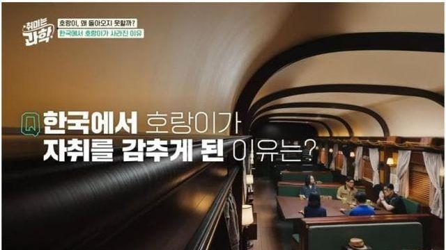 한반도에서 호랑이들이 멸종한 이유.jpg