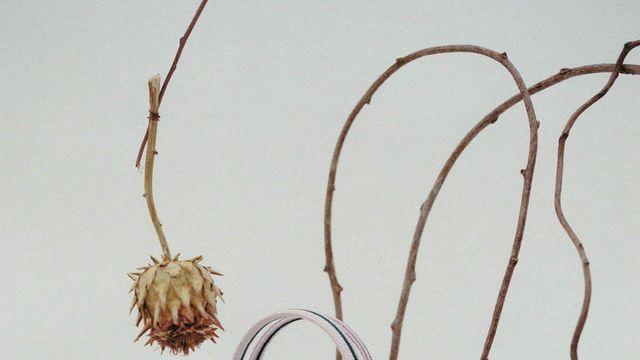 올봄은 망설임 없이 이 가방입니다