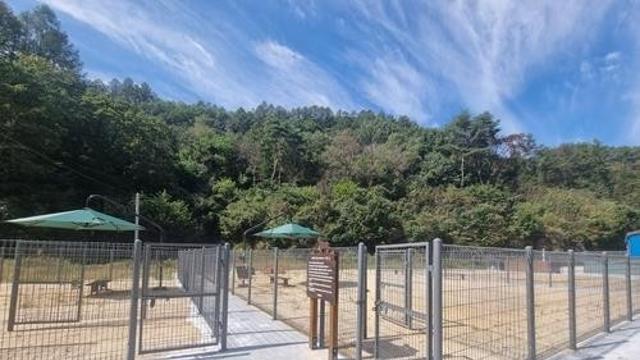 영양군, 반려동물 친화도시 변신…동물복지복합센터 7월 개장